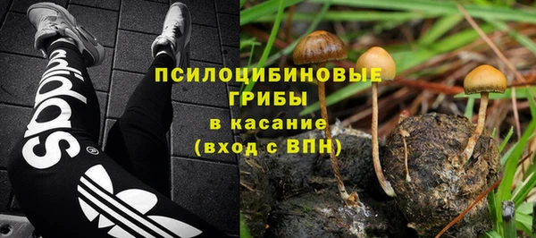 mdpv Балахна