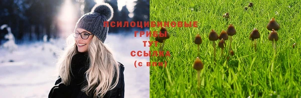 дмт Баксан
