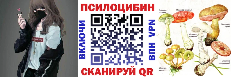 Галлюциногенные грибы Psilocybe  blacksprut ссылки  Вуктыл 